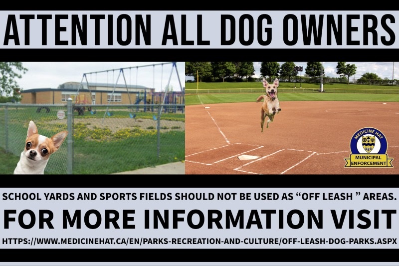 It's important to remember that school yards/ playgrounds and baseball diamonds are not off leash areas. All dogs need to be on a leash unless otherwise stated by a sign. #medhat #MHBylaw #offleash #dogs