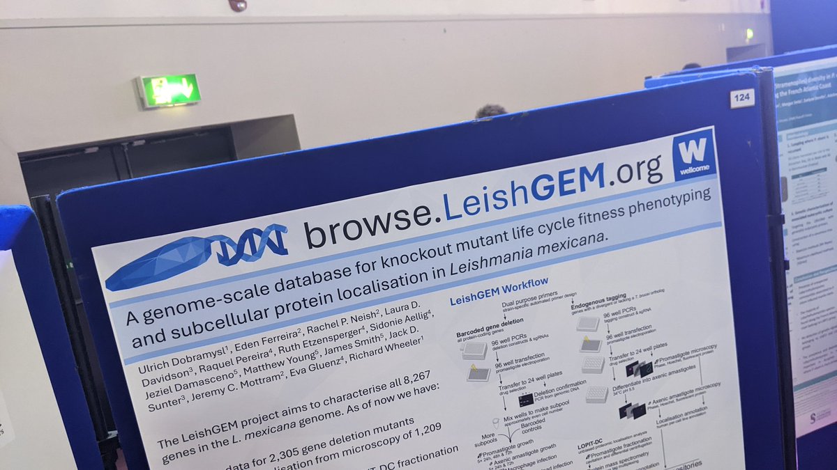 browse.leishgem.org is live! If you work on Leishmania parasites you need this. Genome-wide deletion mutant phenotypes and subcellular protein localisation! Poster 124 #BSP #BSP2024 #leishgem