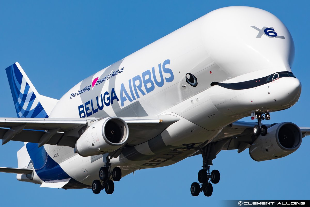 Always the same question ... How this bird can fly ?? Clearly I'm fan of the Beluga😍😍😍😍 And you Avggeks ?? #Avgeeks #Avgeek #BelugaXL