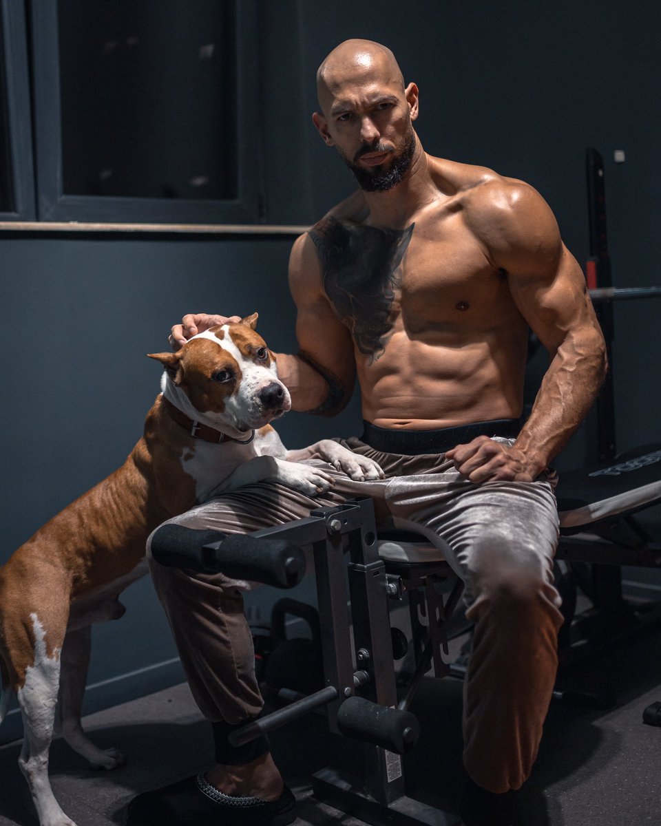 Cobratate's tweet image. My testosterone level is off the chart. 

I’m 37 years old. I should be declining. 

I’m on zero steroids. Zero. Absolutely zero. 

Test me anyday anytime. 

The only supplement I take is fire blood available at Topg dot com.