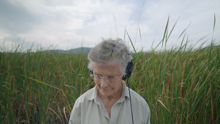 MovingImageNYC's tweet photo. Next up in our #ScienceOnScreen series, five short films that explore the myriad ways our attention can be focused or unfocused by the moving image. Work by Thom Andersen, William Wiebe, Sheri Wills, Sam Green, and Camille Henrot. April 26 🎟️ https://t.co/mlWTa4d3GV https://t.co/h4LpDyuM3B