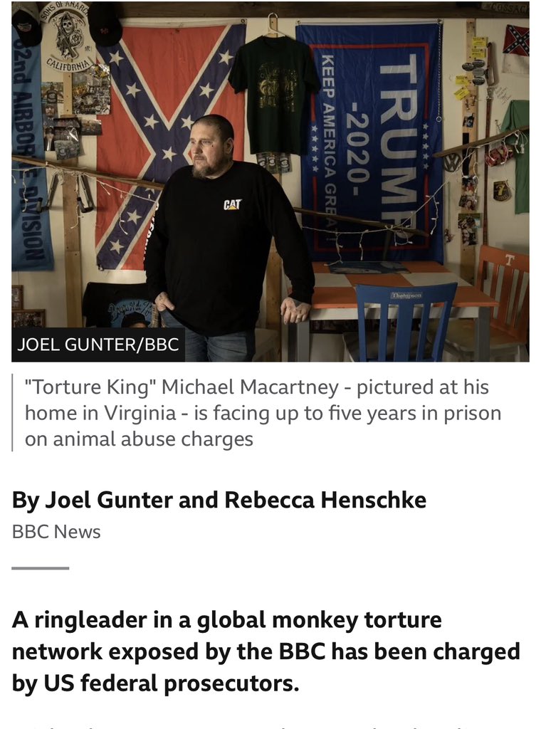 Trump supporting monkey torturer faces up 5 years in prison, this man is a danger to people & animals