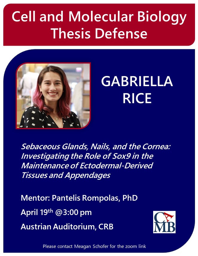 Gaby Rice from the Rompolas lab defends tomorrow!!