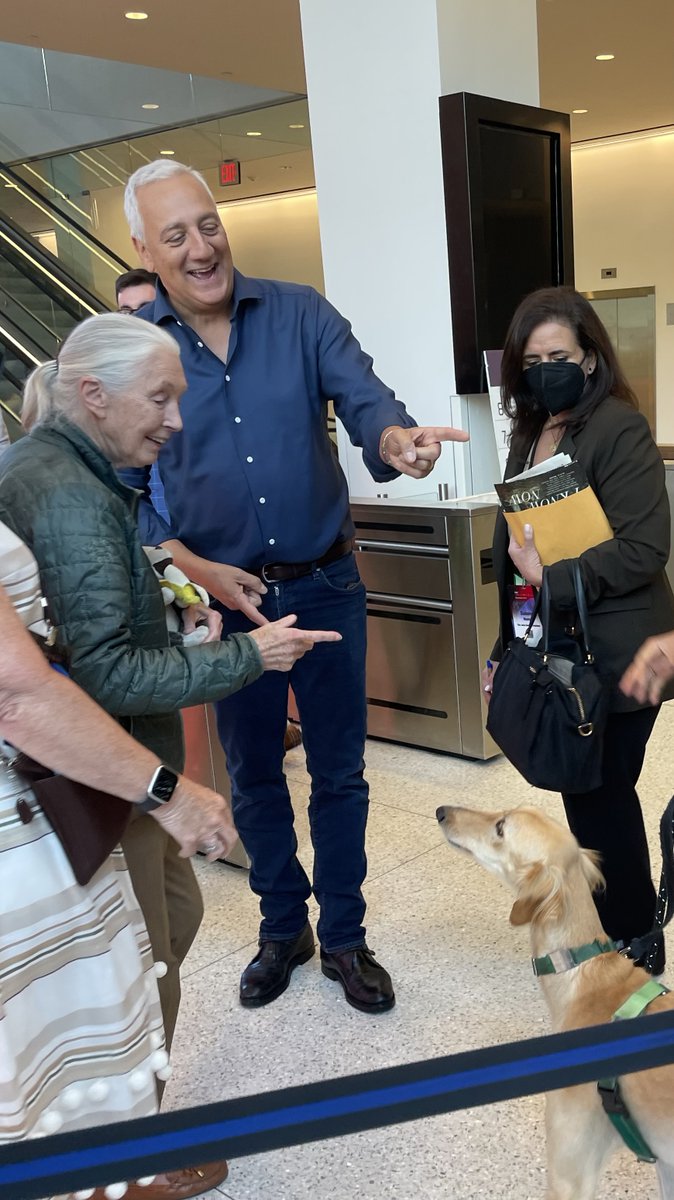 Happy 90th birthday to Jane Goodall! A true hero for me and my family, I had the honor of meeting her a few years ago. I was thrilled, but I think Jane was more excited about meeting the dog in lower right corner of the photo. Happy birthday Jane!