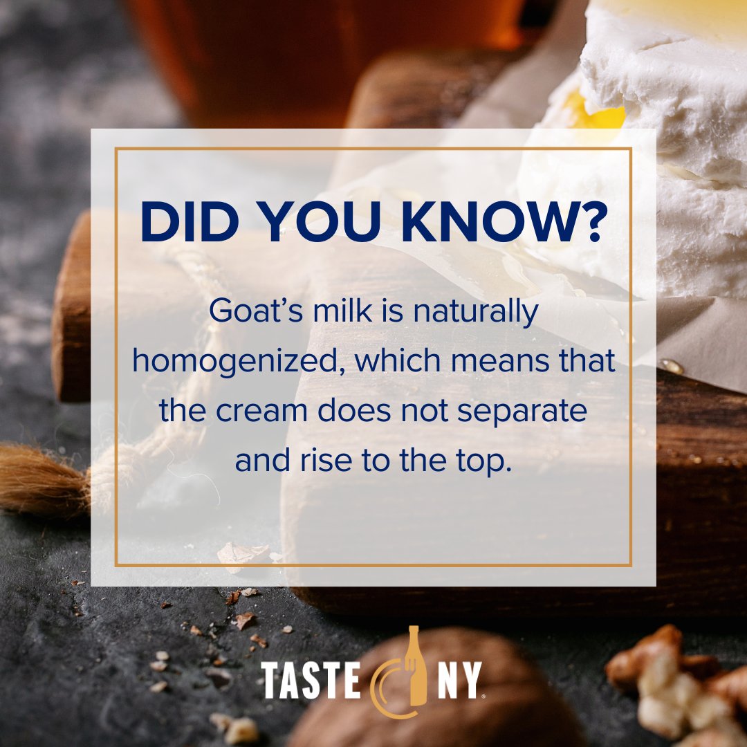 Goat's milk is naturally homogenized, preventing the cream from separating. By supporting New York dairy farmers and shopping locally, you can enjoy the benefits of this high-quality product. #funfact #DidYouKnow #nysdairy #shoplocal