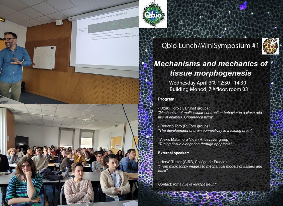 Full house for our new format of Qbio activity @institutpasteur, minisymposium combining short internal talks (here Uzuki Horo from @thibaut_brunet , @R3RT0 and Alexis Matamoro-Vidal from our group) + one external speaker @virtual_embryo , and pizza to 'digest' everything