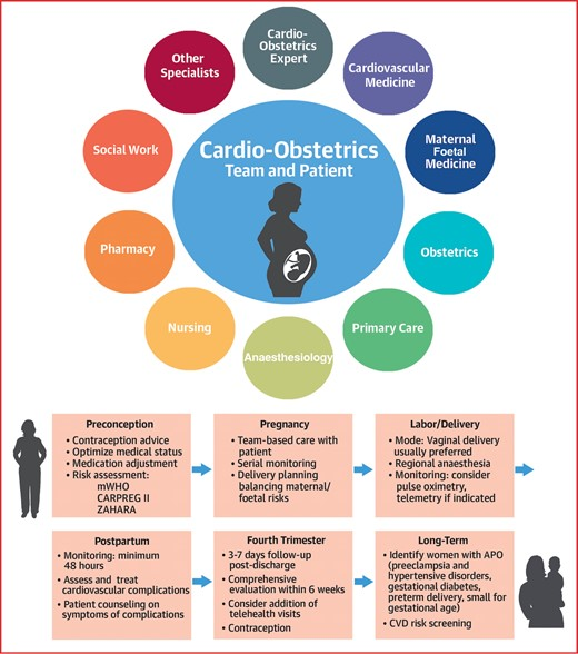 📌#CardioObstetrics: a new specialty🤰

#EugeneBraunwaldCorner