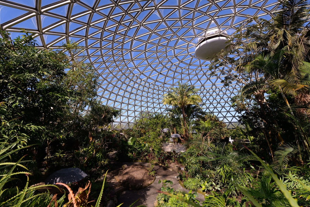 DYK that your PaRx prescription can get you 20% off your admission to @BloedelConserv in Vancouver? PaRx is on a mission to connect people to nature across Canada. A domed lush paradise, Bloedel features 100+ exotic birds, koi fish, and 500 exotic plants for you to explore!