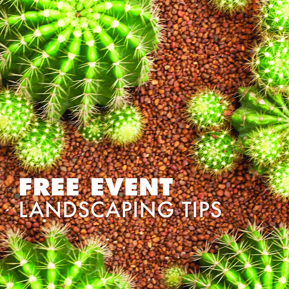 FREE EVENT: Chandler – Build your own Basin👷 Build your own rainwater harvesting basin in this free hands-on workshop! Please wear closed-toe shoes, hats, and sunscreen.@cityofchandler #WaterUseItWisely 🗓️ April 6 @ 9:30 am - 12:00 pm 📍 Register here: buff.ly/47WwYYb