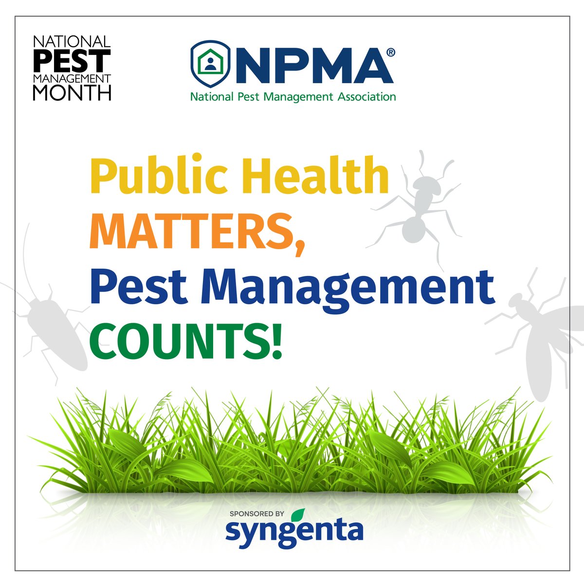 National Pest Management Month celebrates our commitment to public health through effective pest management. Together, we make communities safer and healthier. This NPMM, let's raise awareness about the essential role of pest management in safeguarding public health! #NPMM