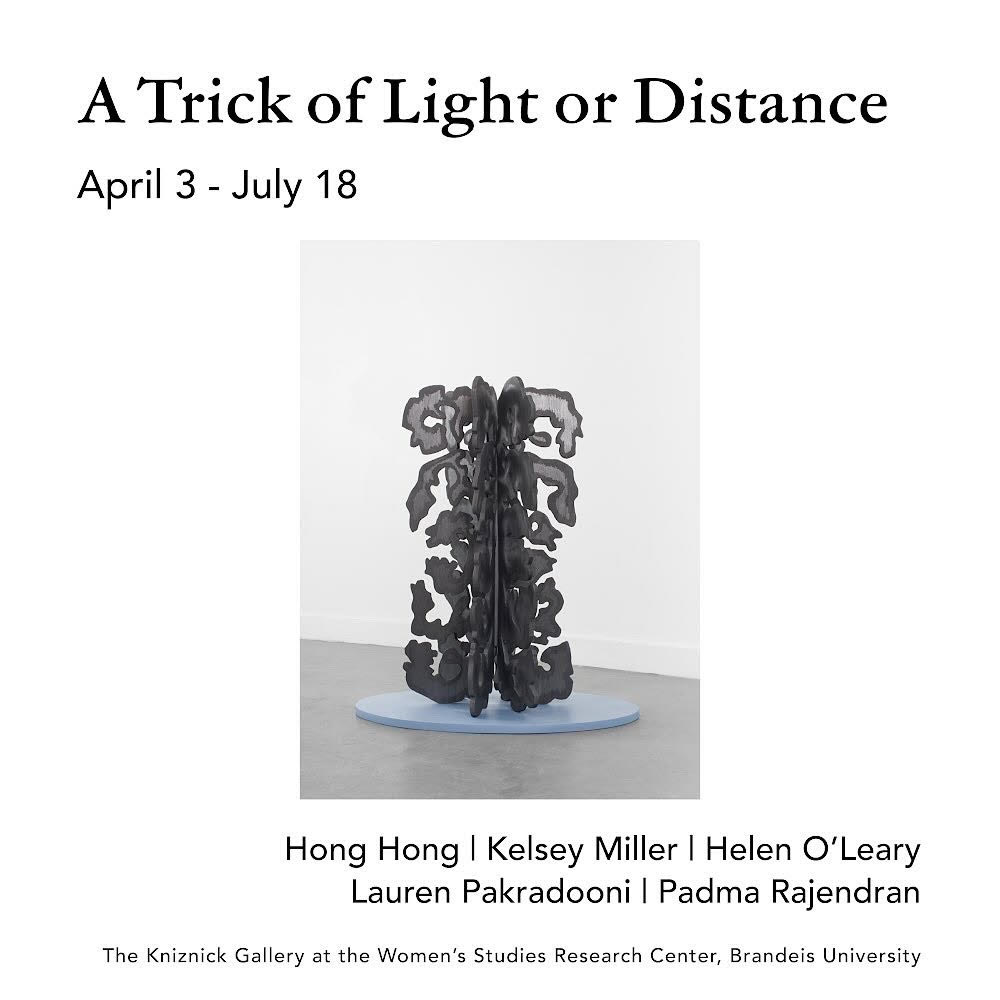 Tonight, April 3, - the opening reception of “A Trick of Light or Distance,” 5-7 pm! Meet the artists &amp; enjoy refreshments. The exhibition presents 5 artists’ iterative processes as they traverse, landscape, migration, and memory. In our Kniznick Gallery, 515 South St, Waltham