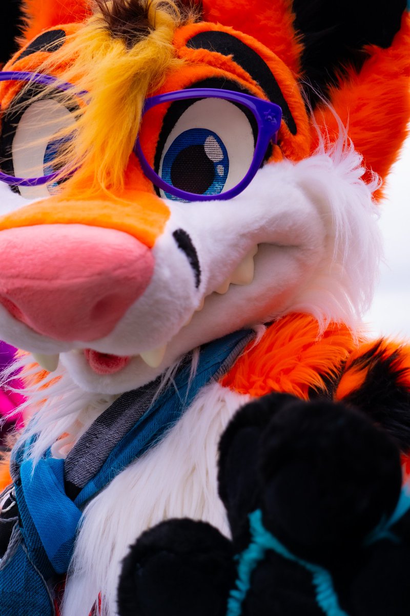 Orange you glad I have blue eyes too!?

QRT with those ocean eyes, show them off! 🩵🩵🩵

📸: <a href="/herelieshashtag/">Jesse Snow</a>
🪡: <a href="/MoreFurLess/">More Fur Less</a>
