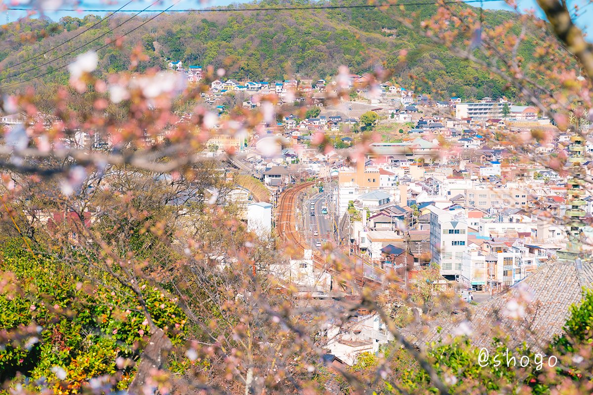 桜越しに見る 尾道の街並みを・・・ #これソニーで撮りました #桜