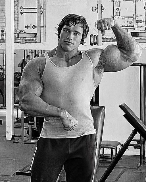 NITRO GYM
🏋️‍♂️💪💪🏆🥇🤴
Father of Bodybuilding 
Arnold 
#feed
#feedfeed
#reels
#instagood
#viral
#fitness
#instareels #instadaily #instagram #bodybuilding #backworkout #bodypositivity #workout #gymlover #gymlife #gym #foryoupage #fitness #motivation #fitnessmodel #trending #foryou