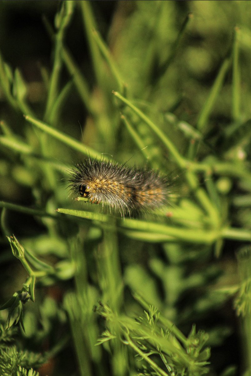 📸

One of my fav photos that I took today!