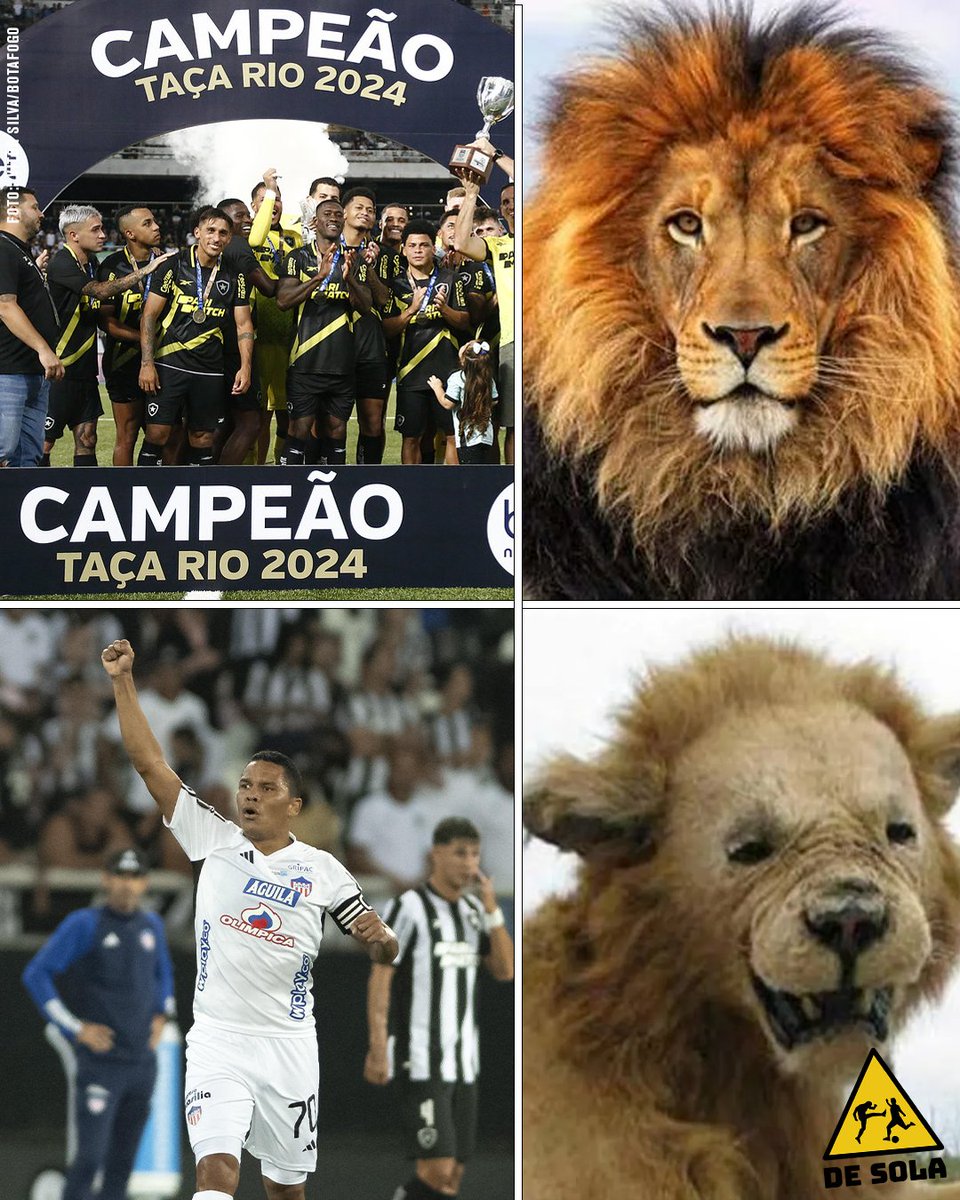 desolaoficial's tweet image. BOTAFOGO NA TAÇA RIO: 🦁 
BOTAFOGO NA LIBERTADORES: 🐱