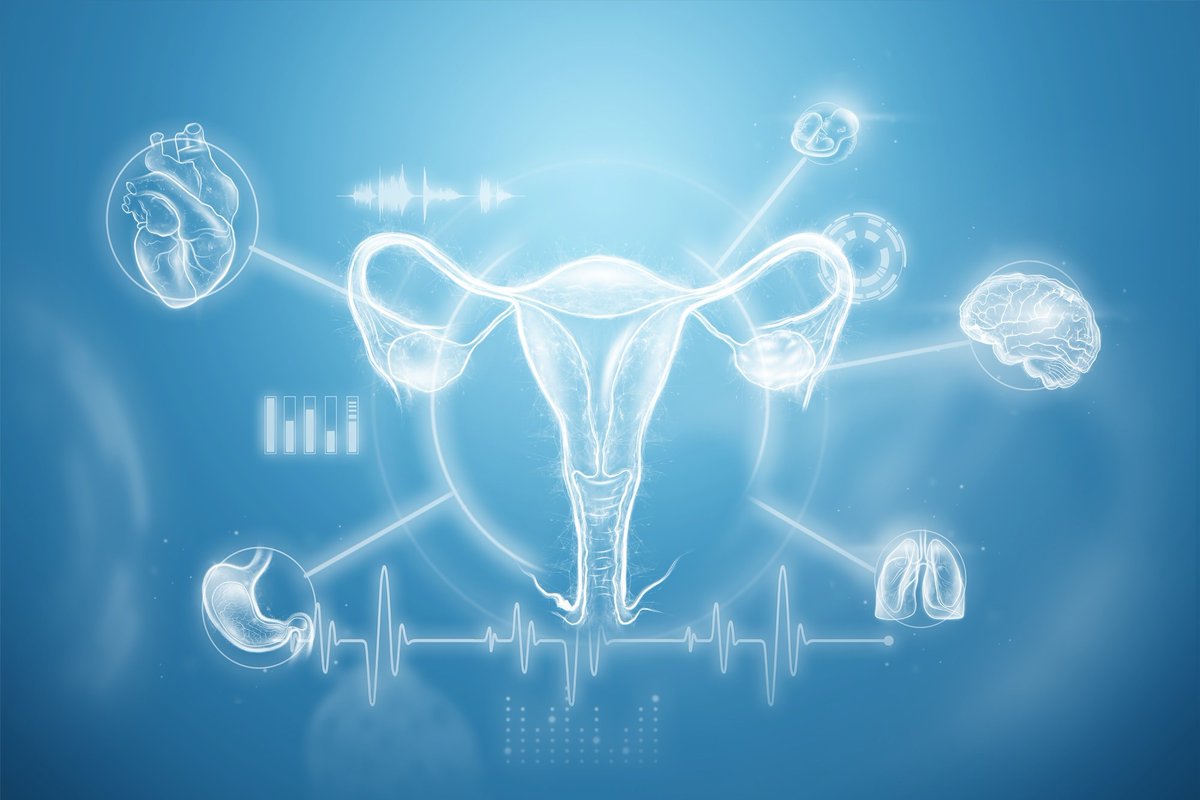 How minerals influence women's fertility and menstrual health 🌿🔬🤰 news-medical.net/news/20240403/… #FemaleFertility #ReproductiveHealth #Minerals #HormoneRegulation #Ovulation #EndometrialHealth #NutritionalScience #Zinc #Selenium #Iron #HealthyPregnancy #Nutrient @Nutrients_MDPI
