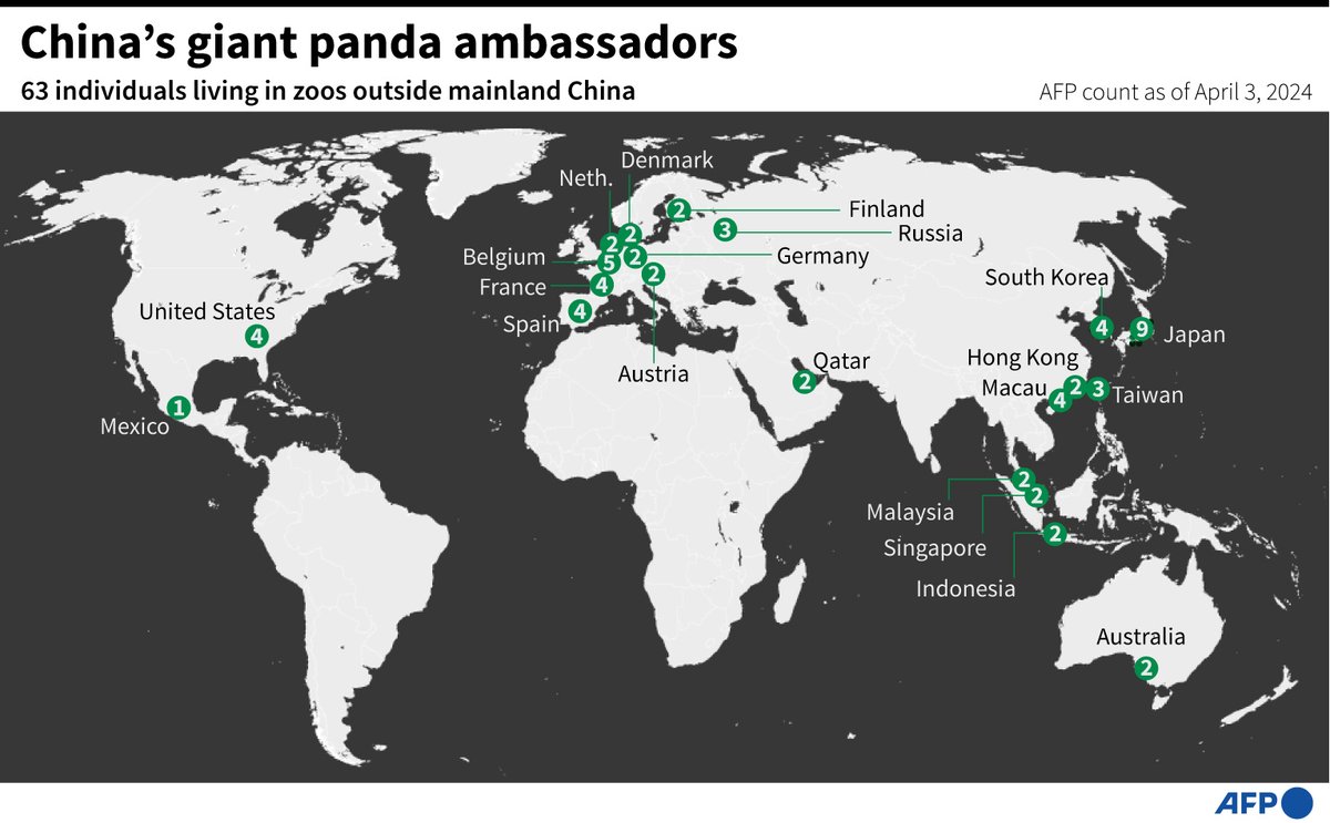 China's giant panda ambassadors.

#AFPGraphics world map showing the locations of pandas outside mainland China, according to an @AFP count.  Beijing only loans pandas to foreign zoos, which must usually return any offspring within a few years of their birth to join China's…