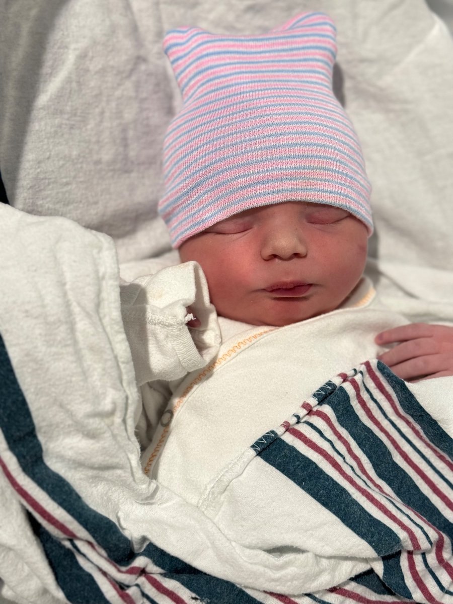 Grace Lavery tweet media