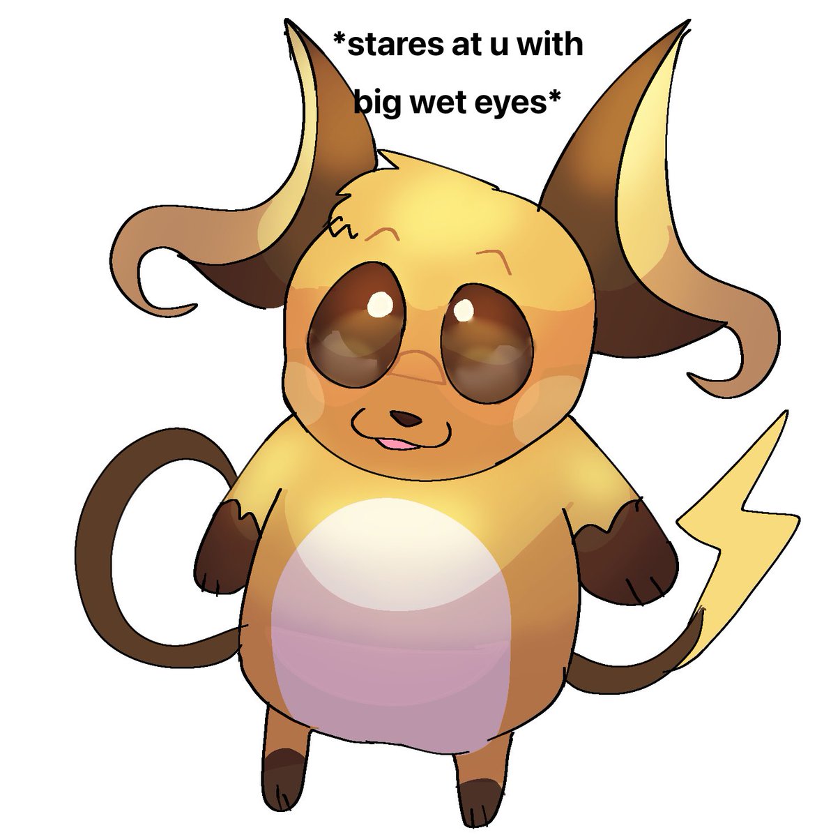 raichu staring with his big wet eyes