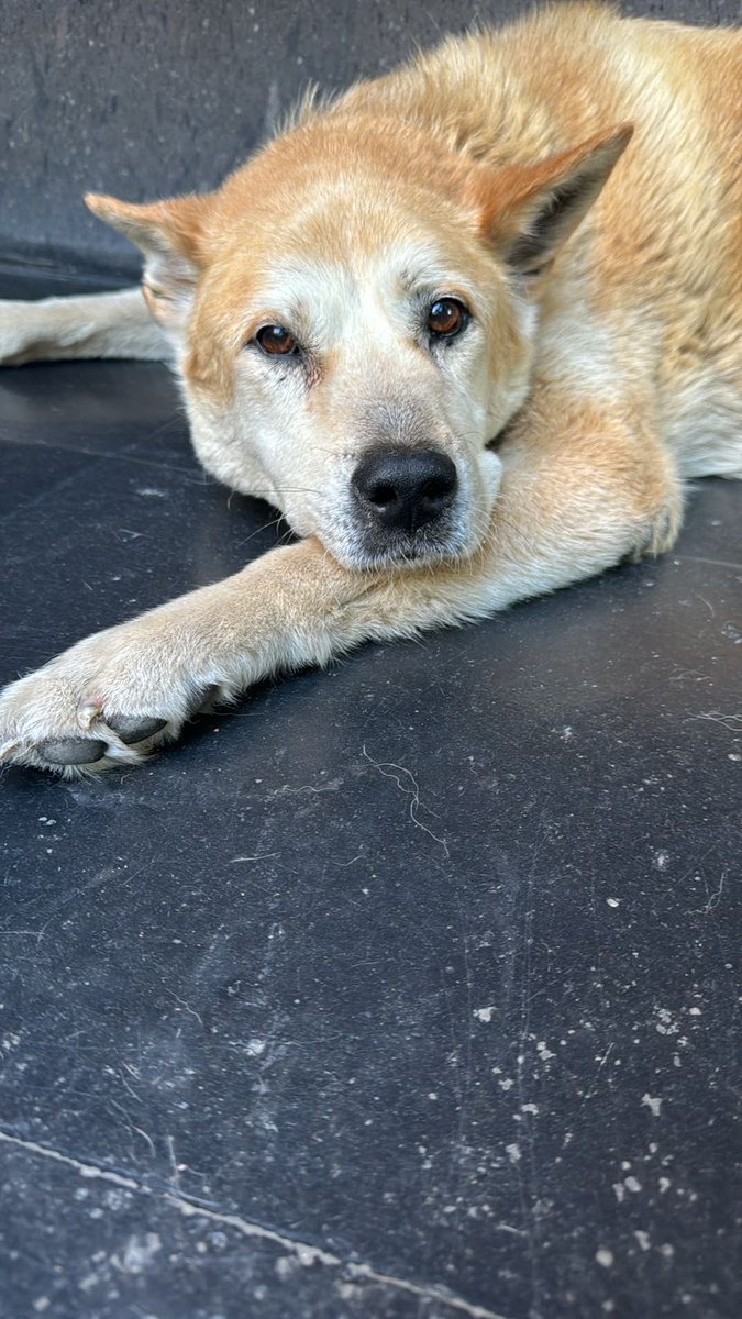 ¡Tantos años juntos!