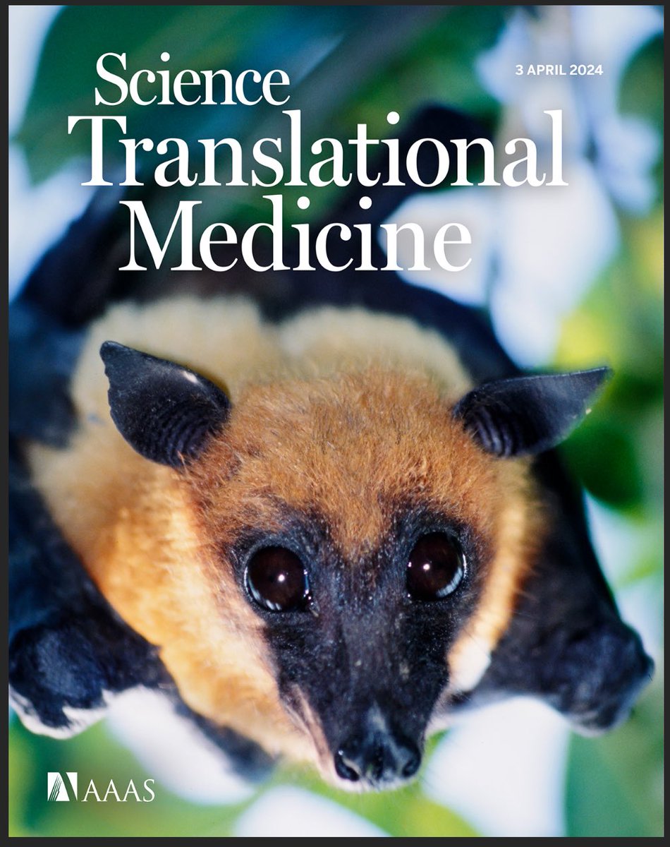 Another great day for science! Our recent paper in STM published today also made the cover! Great work with a great team! Overjoyed to add yet another treatment option for Nipah virus! #MAPPBio & #USHUS @UTMBPresident @utmbnews science.org/toc/stm/16/741