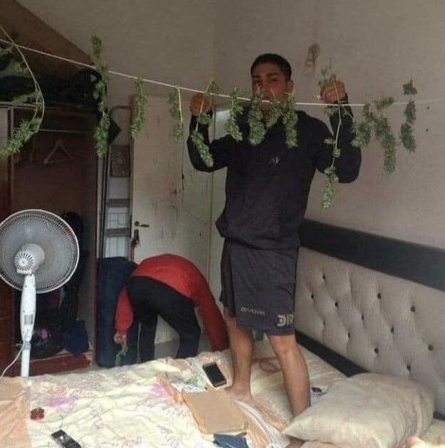 Ahh pero mandalos a colgar la ropa
