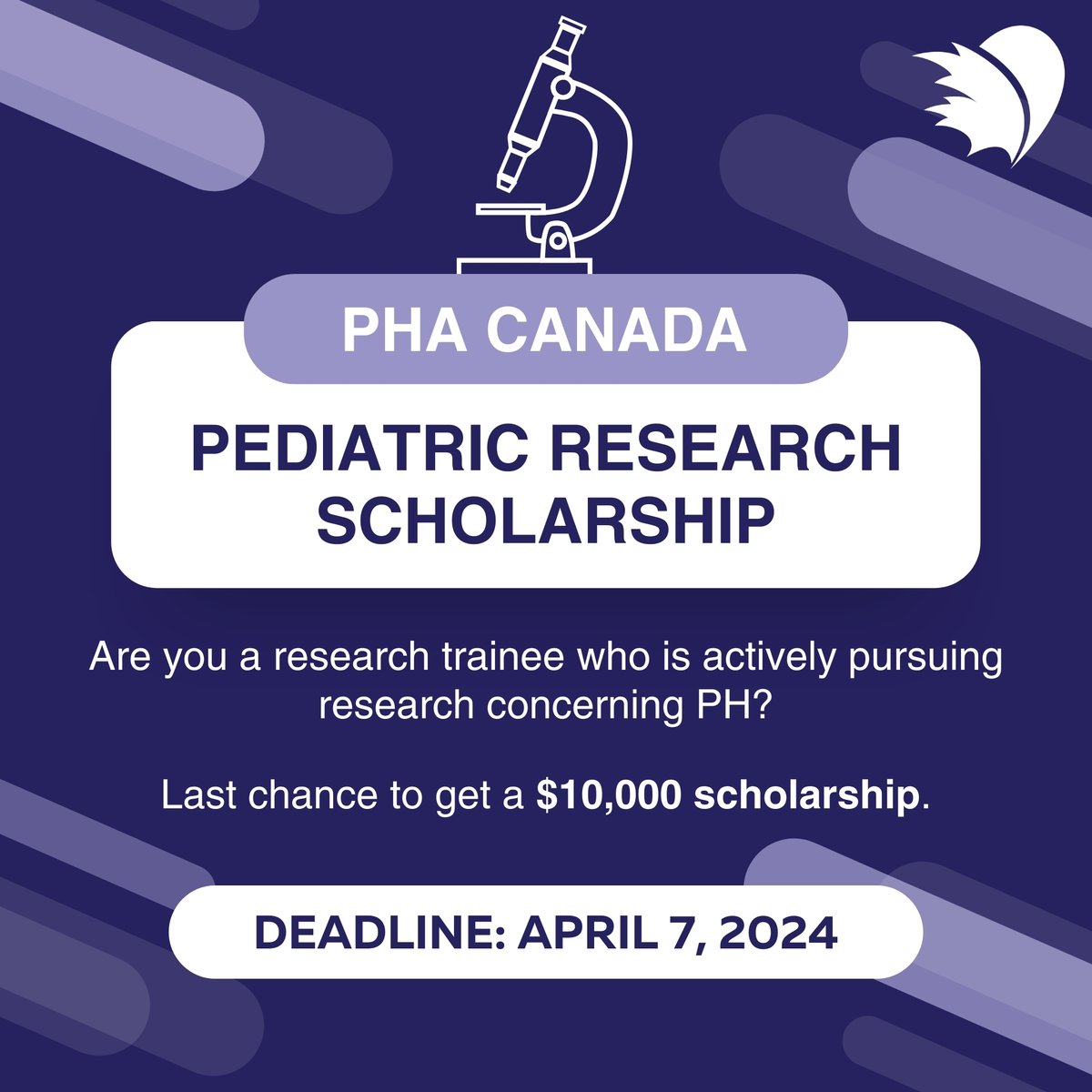 🔬 Attention all research trainees working on pediatric #PHResearch! The deadline to apply for the Bell Family #PediatricPH #ResearchScholarship is fast approaching - April 7th! Access the application form and learn more at: ow.ly/GeSs50R6U89