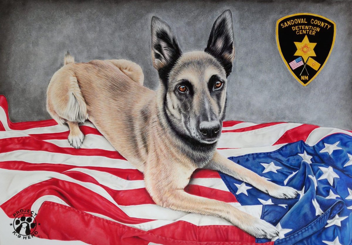 Another amazing custom portrait is complete by our extremely talented Project K-9 Hero Staff Artist, Niki Firmin @NikiFirmin, of K-9 Candace! K-9 Candace, was our 210th program member, from the Sandoval County Sheriff and Detention Office in New Mexico. PROJECTK9HERO.ORG