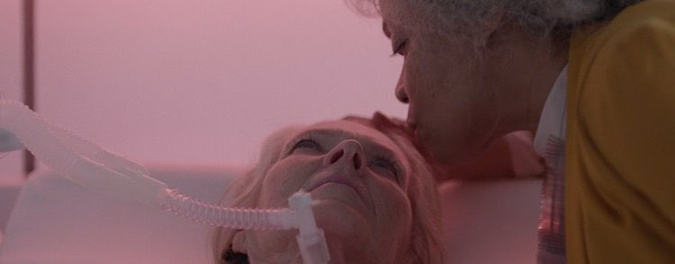 cinesthetic. tweet media