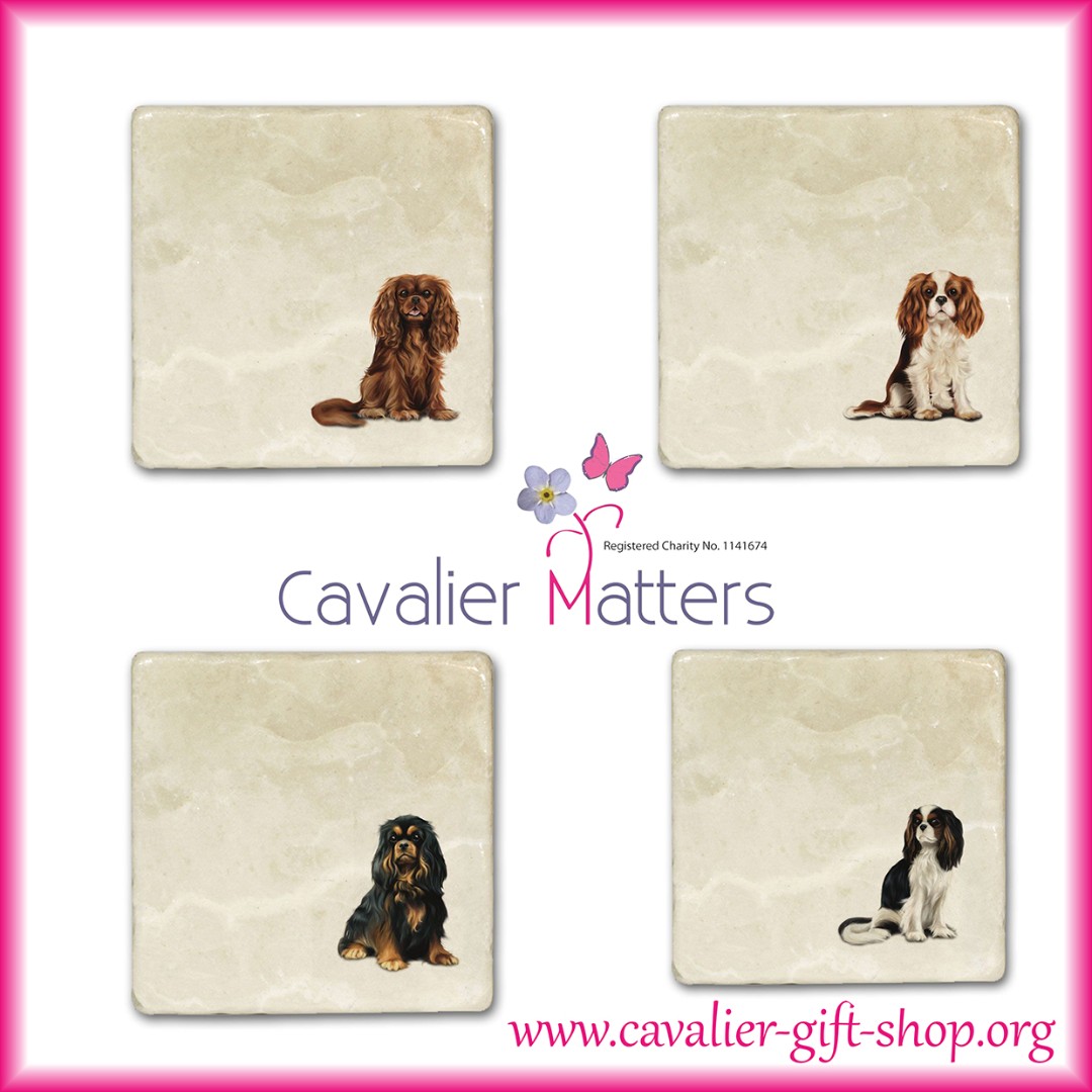 The EXCLUSIVE Celebrations Cavalier images are now available on these stunning marble coasters cavalier-gift-shop.org/just-our-caval… *All proceeds are donated to Cavalier Rescue, Health and Welfare* #cavalier #cavaliercommunity #ckcs #cavalier #cavalierkingcharlesspaniel