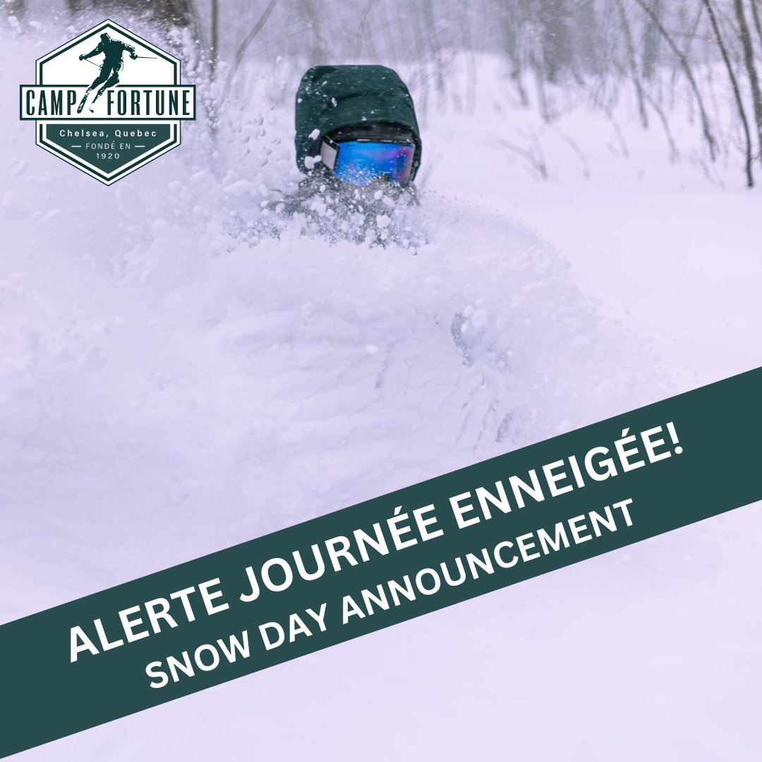 Camp Fortune tweet media