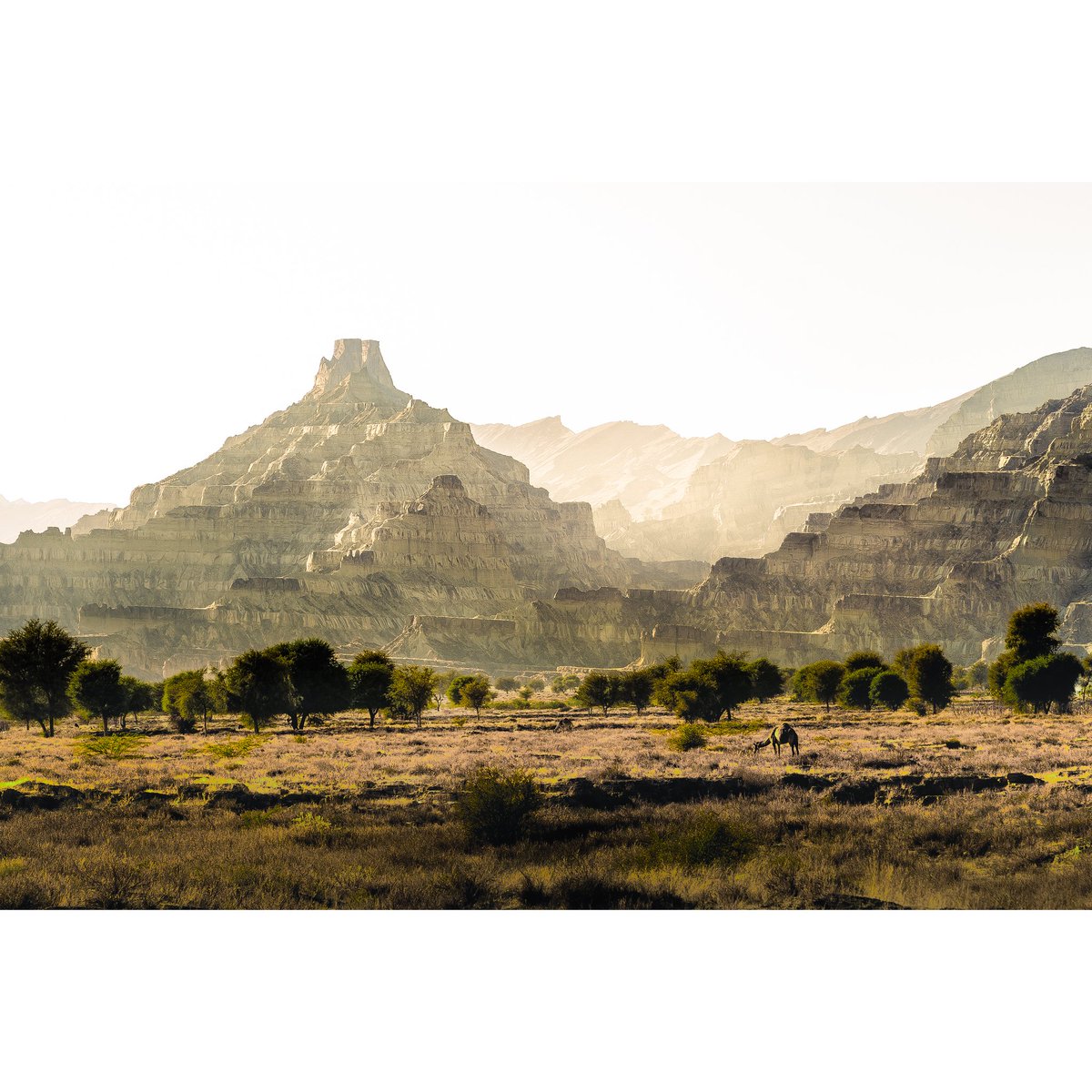 Kunarrach, Hingol, Balochistan

#balochistan