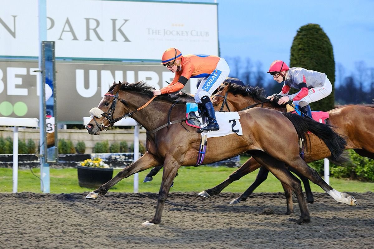🟠🔵 She’s Centimental 🟠🔵 battles well to win at Kempton tonight under @ONaillers2010 Congratulations to the winning owners, @roudeeracing #AliceHaynesRacing #AHTeam
