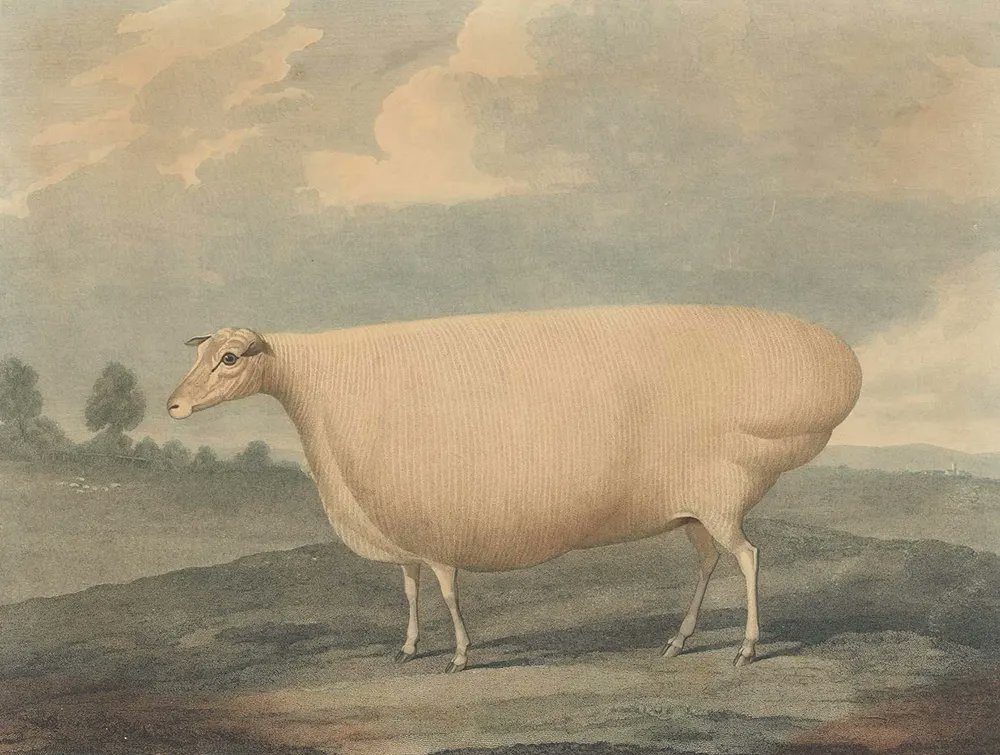 Ellen Walker tweet media