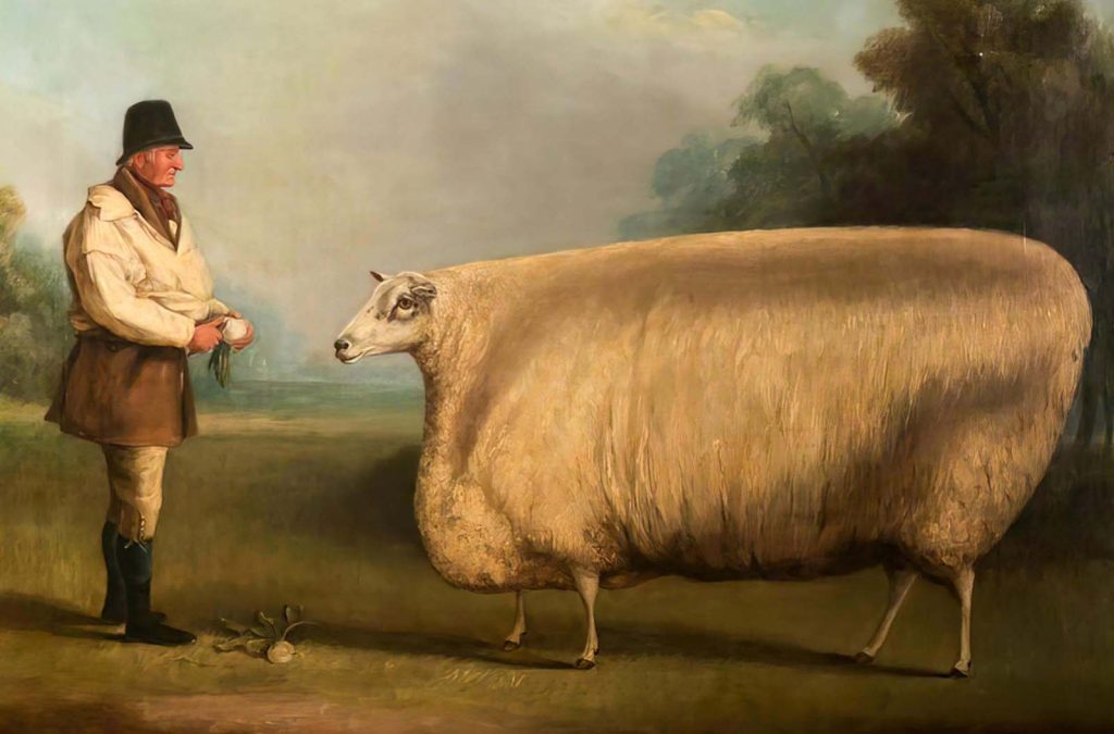 Ellen Walker tweet media