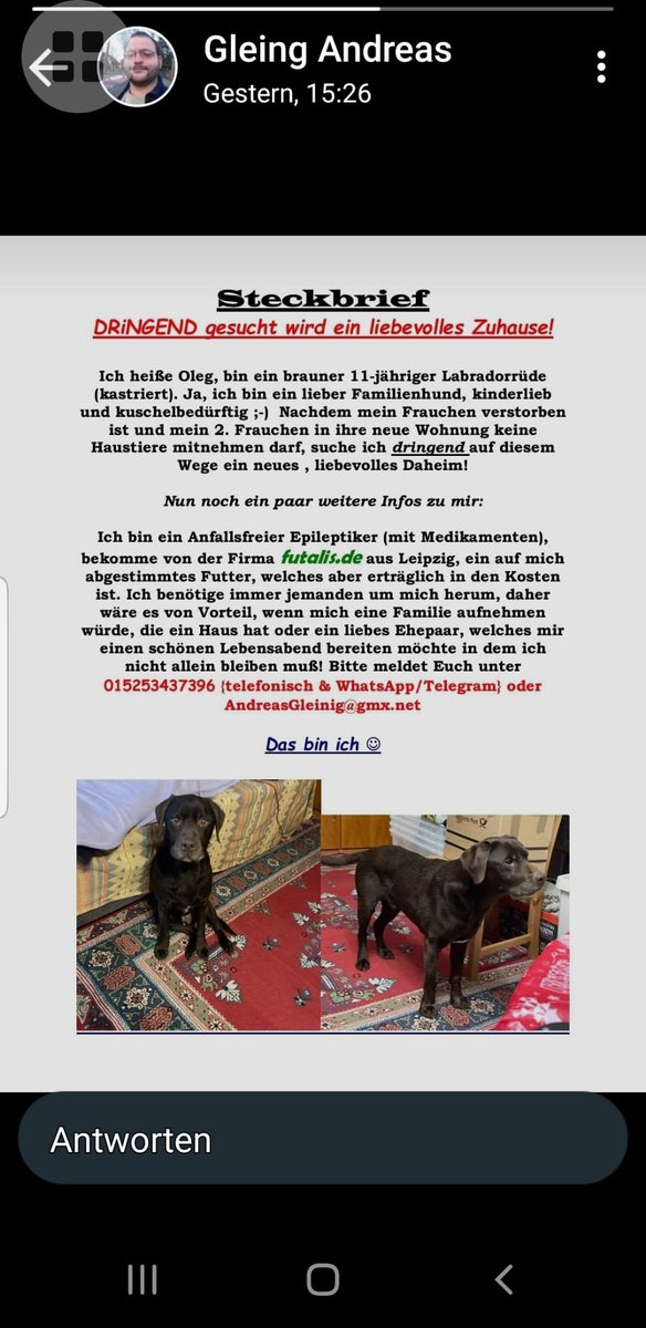 Liebes #Twitterrudel,

ein süßer Labrador benötigt eure Hilfe.
Oleg ist 11 Jahre alt.
Seine Halter haben eine neue Wohnung, Hunde sind nicht erlaubt.

Ich kritisiere das ebenso wie ihr - aber jetzt geht es um Oleg.
In anderthalb Wochen muss er ein neues Zuhause haben...

(1/x)