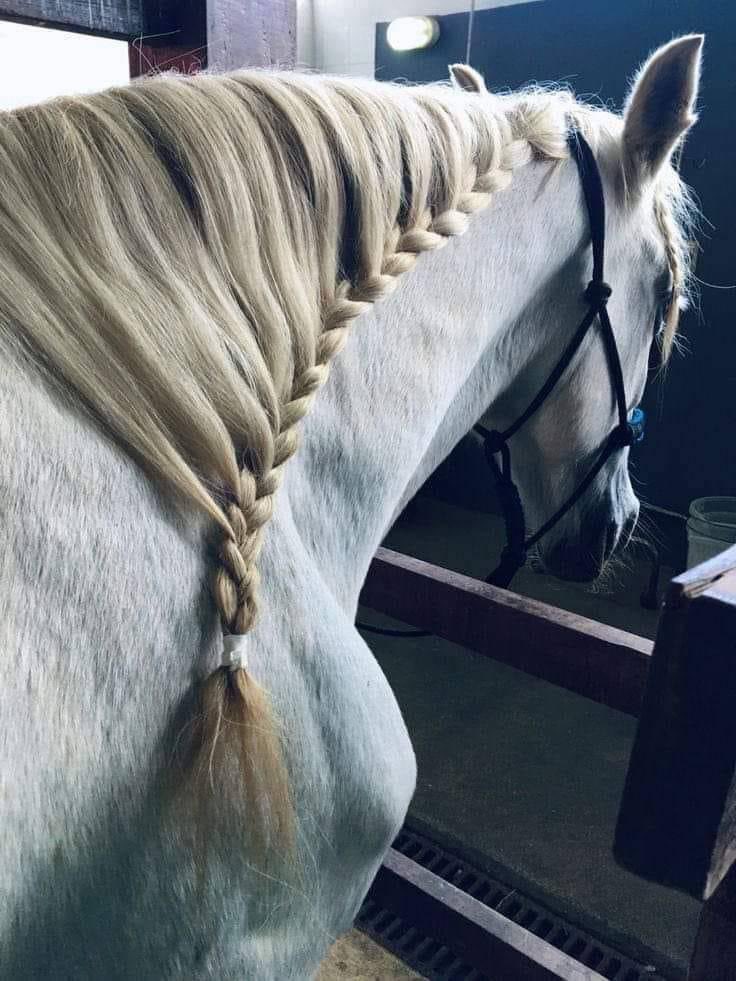 🇵🇸. (@hiddenartst) on Twitter photo 