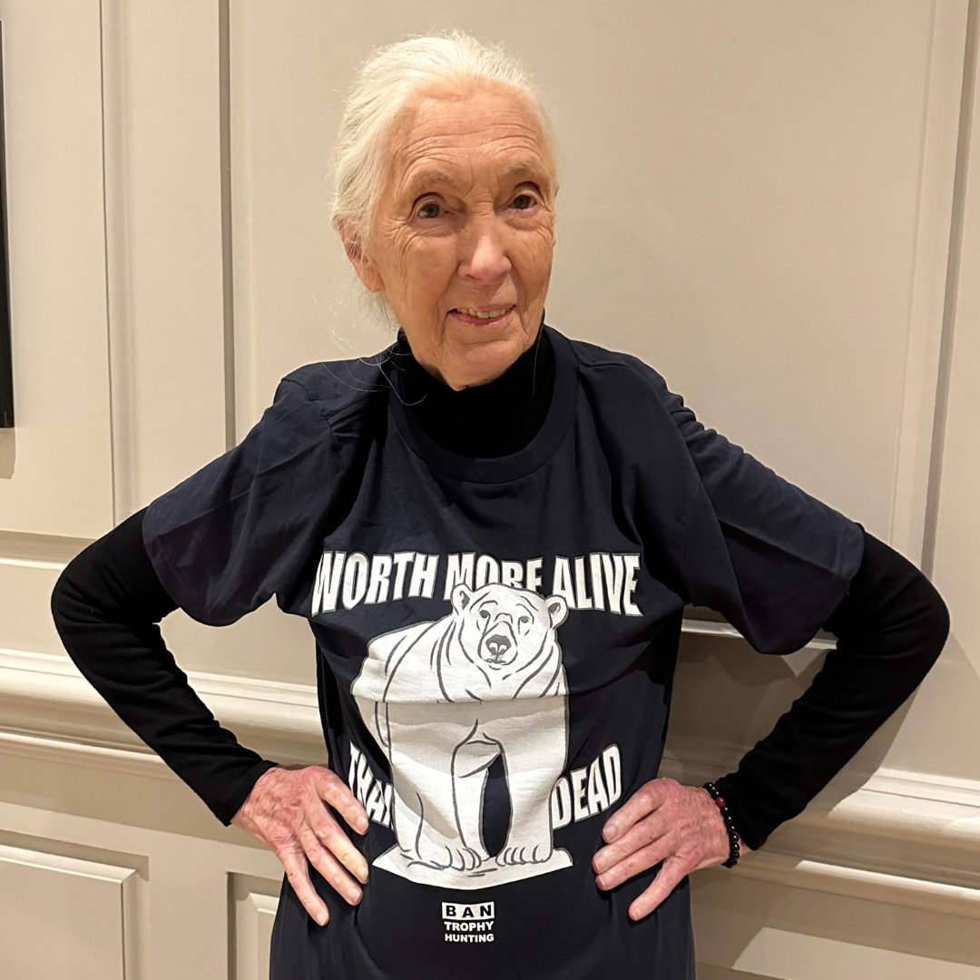 CBTHunting's tweet photo. Happy birthday to the legendary Dr Jane Goodall 🐵

Jane has been a phenomenal friend to the Campaign to #BanTrophyHunting over the years, attending events in parliament and continuing to speak out against this vile trade. We're so proud to have her support. Happy birthday Jane! https://t.co/pqUZl3OVp9