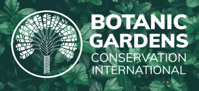 Desde <a href="/BGCI/">Botanic Gardens Conservation International</a> compartimos una posición de trabajo dentro del equipo de Programas Regionales de BGCI en la región de América Latina y el Caribe.
Encontrarán la descripción completa del puesto siguiendo este enlace:
bit.ly/4aY99kL