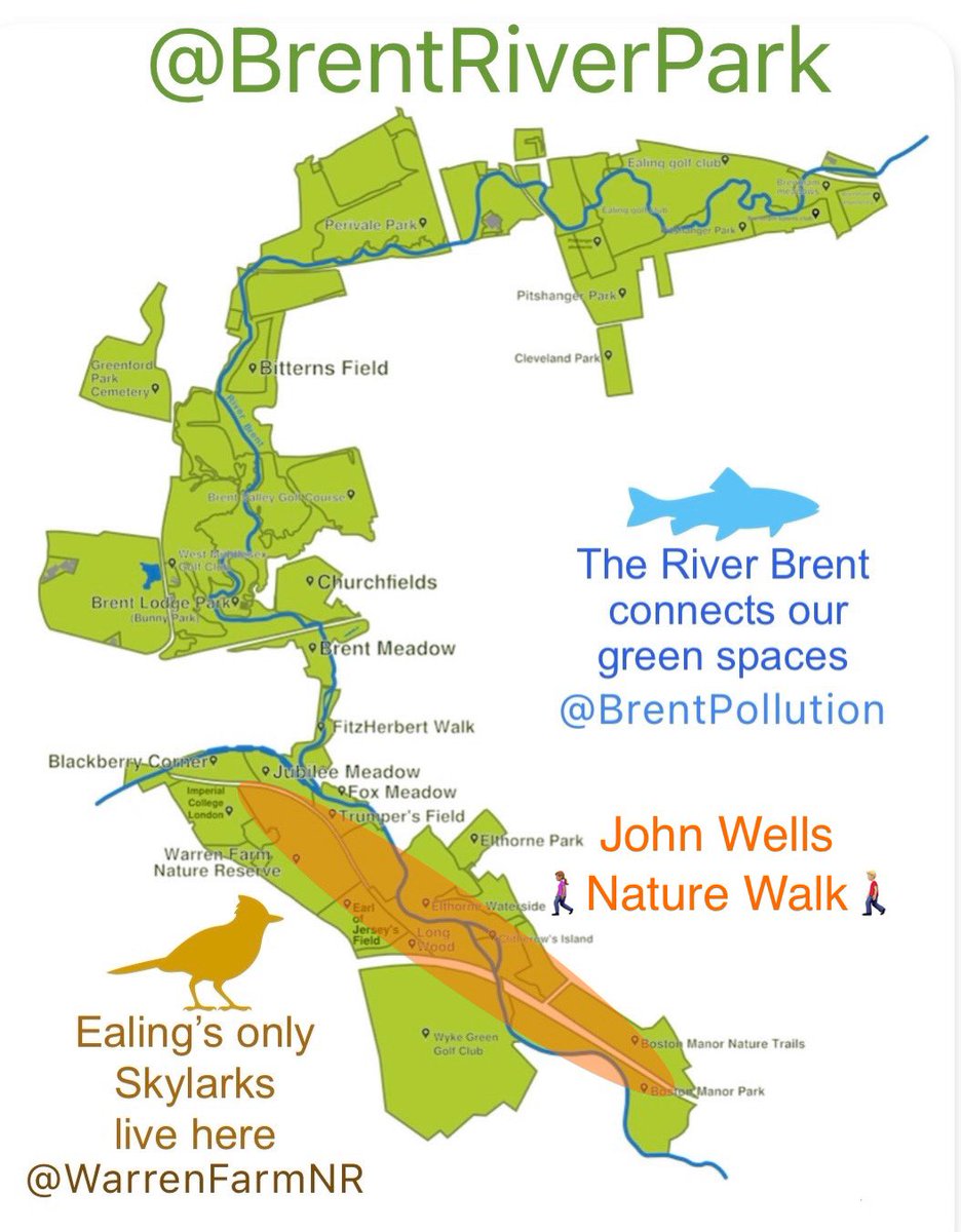 💚NATURE WALK💚Fri 5th April amazing naturalist John Wells is leading a FREE walk through the beautiful Southern end of @BrentRiverPark 🚶🏽‍♀️🌳🌼🐦‍⬛🦋 Boston Manor Park, along #RiverBrent, ending at #WarrenFarmNR ☺️🦉Pls email John to let him know you’re attending🙌🏼Thank you!🙂🦢