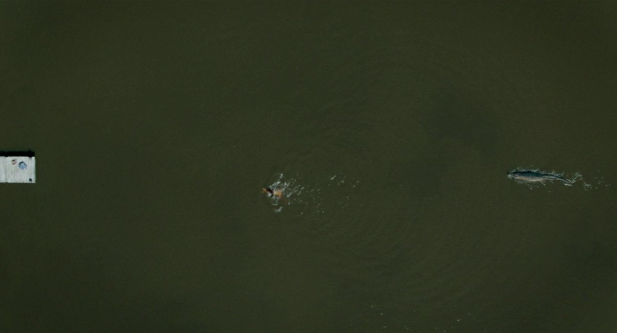 TheCinesthetic's tweet photo. x (2022), dir. ti west https://t.co/zixdUyXahl