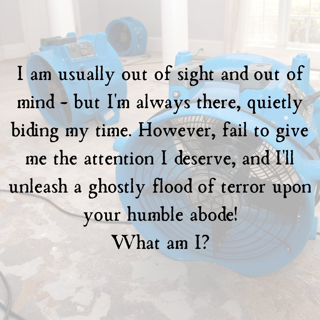 SOLDBYSTORI's tweet photo. Indeed, the answer is a broken clothes washer hose – a notorious culprit &amp; 1 of the leading causes of HO insurance claims in the US. Ward off this disaster &amp; inspect your washer hoses regularly &amp; add "Shut off H2O to my clothes washer" to your pre-vacay to-do list
#StoriZimmerman https://t.co/gje9CITLXt