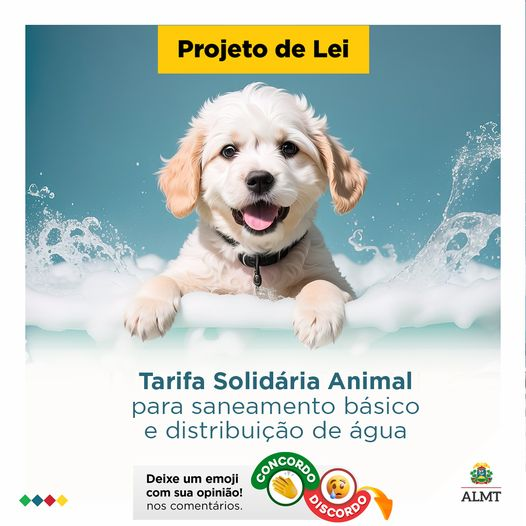 assembleiamt's tweet image. O projeto de lei nº 283/2024 visa aliviar os custos operacionais enfrentados quem cuida dos nossos amiguinhos de quatro patas!🐾 Se aprovado, a Tarifa Solidariedade Animal em Mato Grosso vai beneficiar protetores autônomos e organizações de proteção animal.💧

#ALMT #ProjetoDeLei