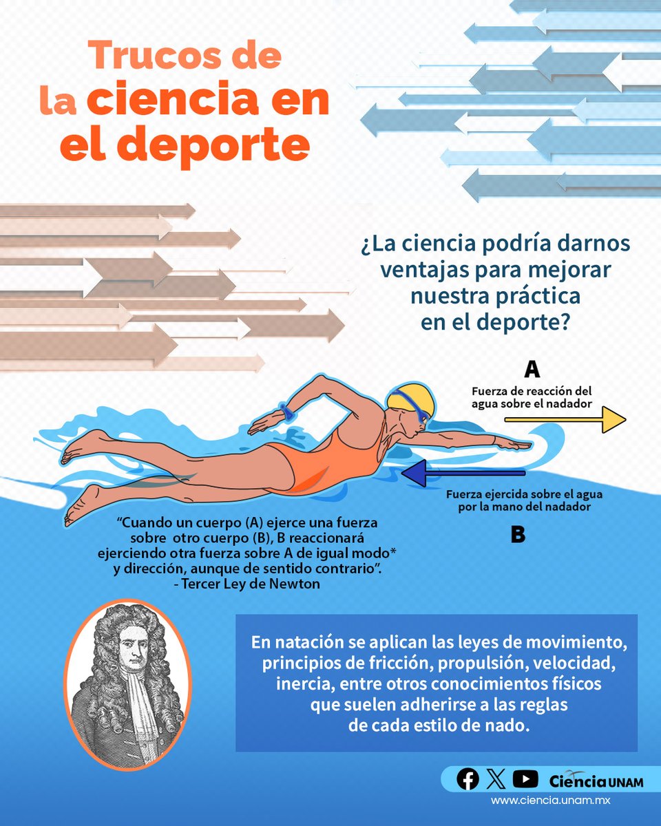 #Salud | Para aprender a nadar, hay que saber controlar la respiración, aprender a flotar y lograr mantener una postura correcta que nos permita desarrollar una técnica eficiente.
En el Día Mundial de la #ActividadFísica, te contamos sobre otros deportes: lc.cx/2ql0Uw