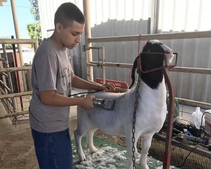 Patrick Guizar a California FFA alumnus turned challenges into stepping stones.🌟 Diagnosed with autism at age 3 he defied expectations & earned the American FFA Degree at the 96th National FFA Convention & Expo in 2023.💙 Full story⬇ ffa.pub/3x5G5Jj #FFA #NewHorizons