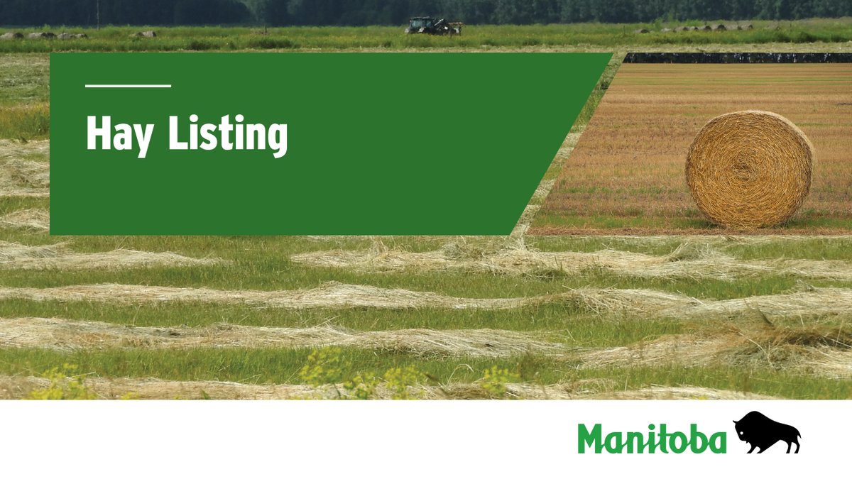 HAY! Don't forget to contact your local Manitoba Agriculture and MASC Service Centre at 1-844-769-6224 to list or look for hay, straw or alternative feeds for sale on the hay listing service found at bit.ly/2IUPYQa. #GrowMBAg