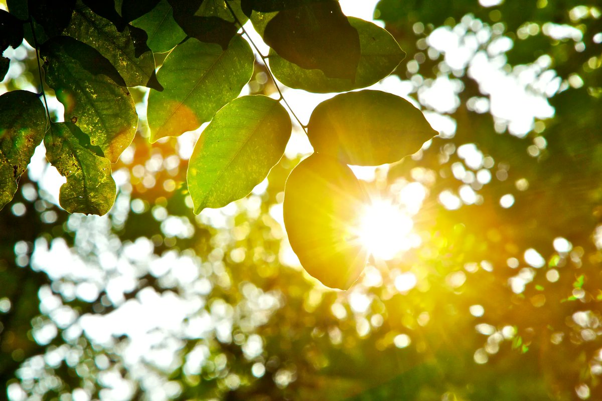 Knock LA tweet media