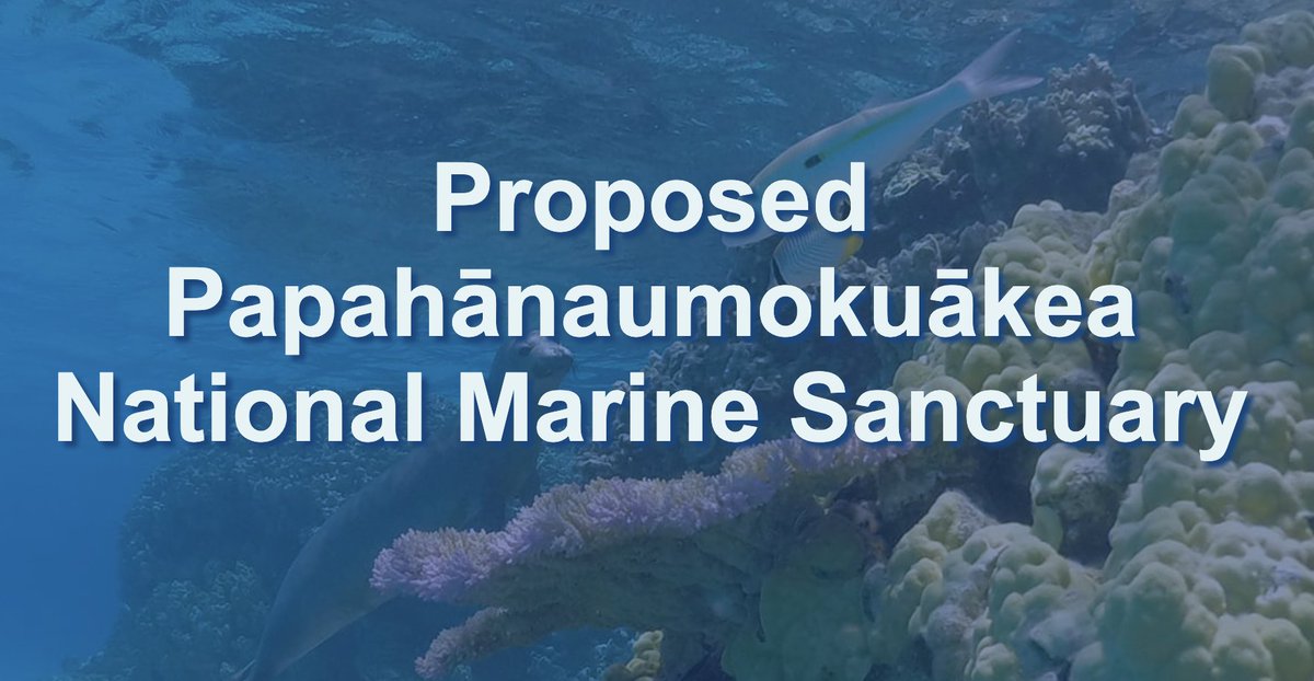 On Saturday, April 6, NOAA and the state of Hawaii are hosting the only virtual meeting to gather public input on the proposed Papahānaumokuākea National Marine Sanctuary. Learn more: bit.ly/49oHEj5