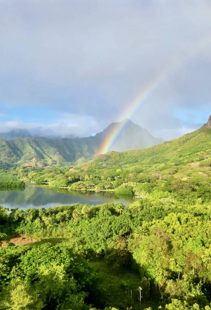 Happy #NationalFindARainbowDay! Comment down below your favorite place to see rainbows in Hawaiʻi. 🌈 📸: @itsbecmunro